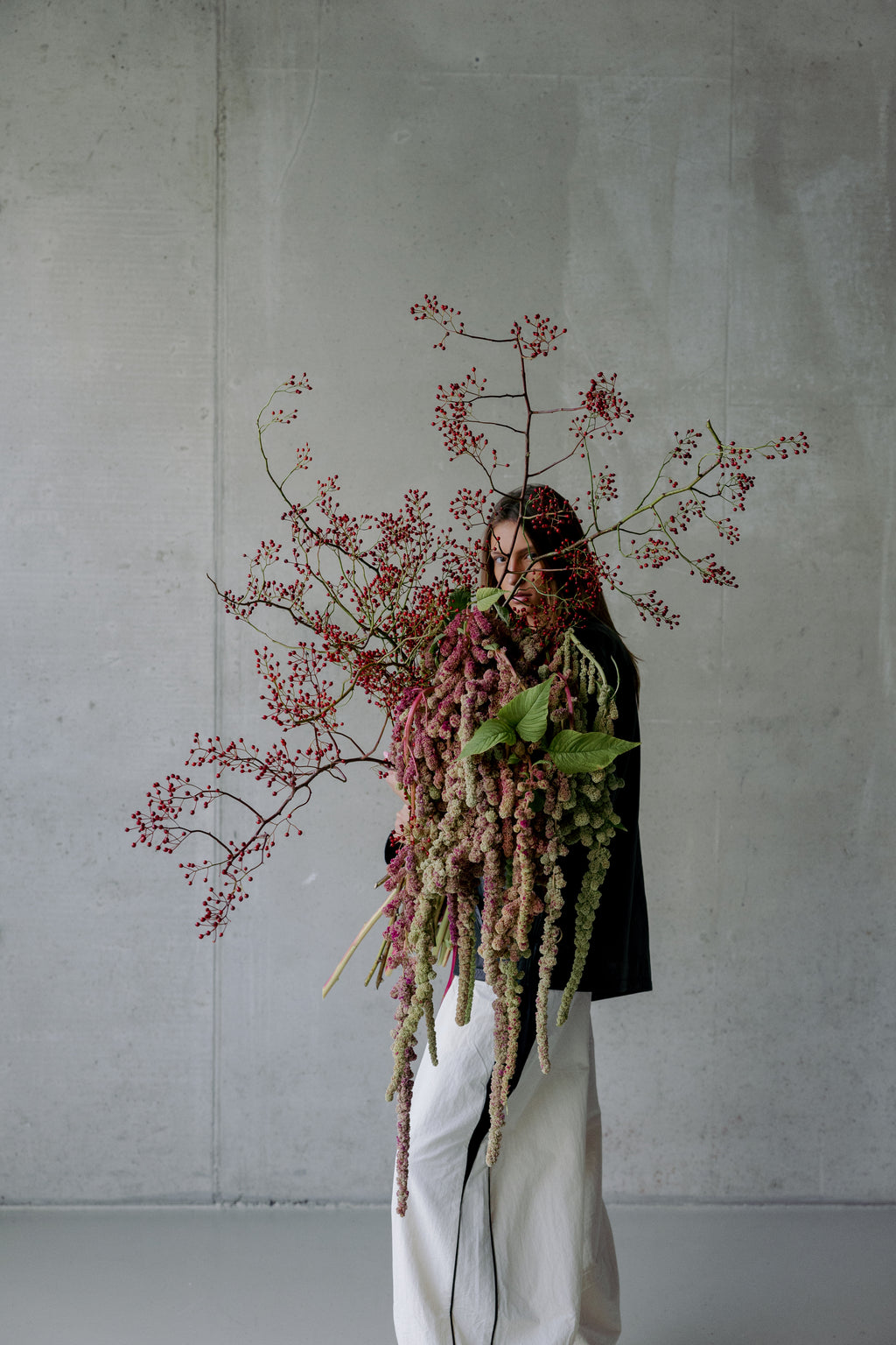 AMARANTHUS & ŠIPAK