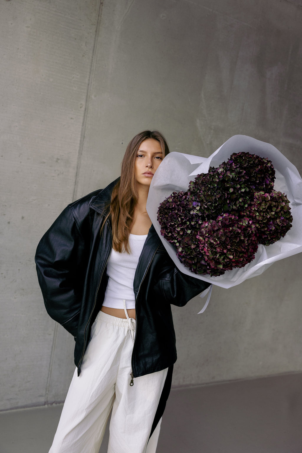 DARK BURGUNDY HORTENZIJE