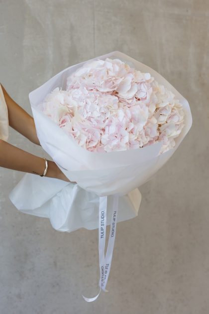 ROZE HORTENZIJE