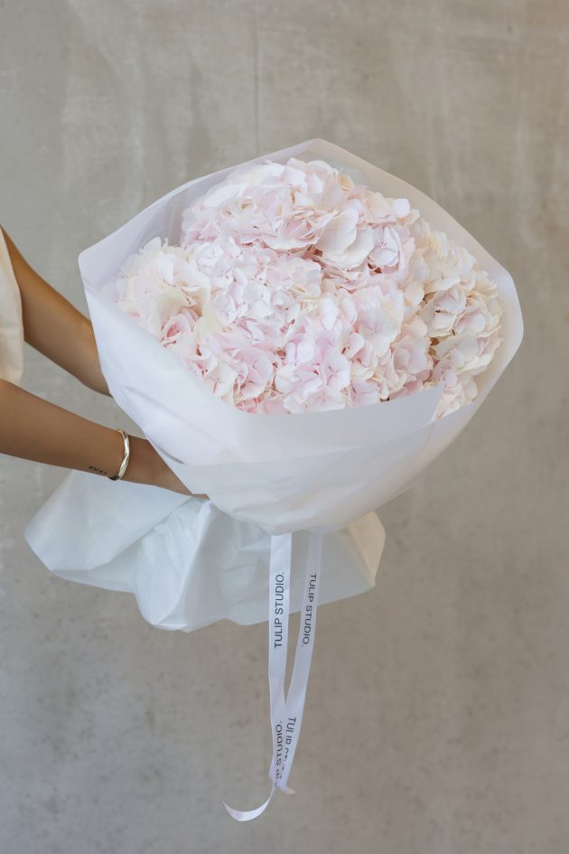 ROZE HORTENZIJE